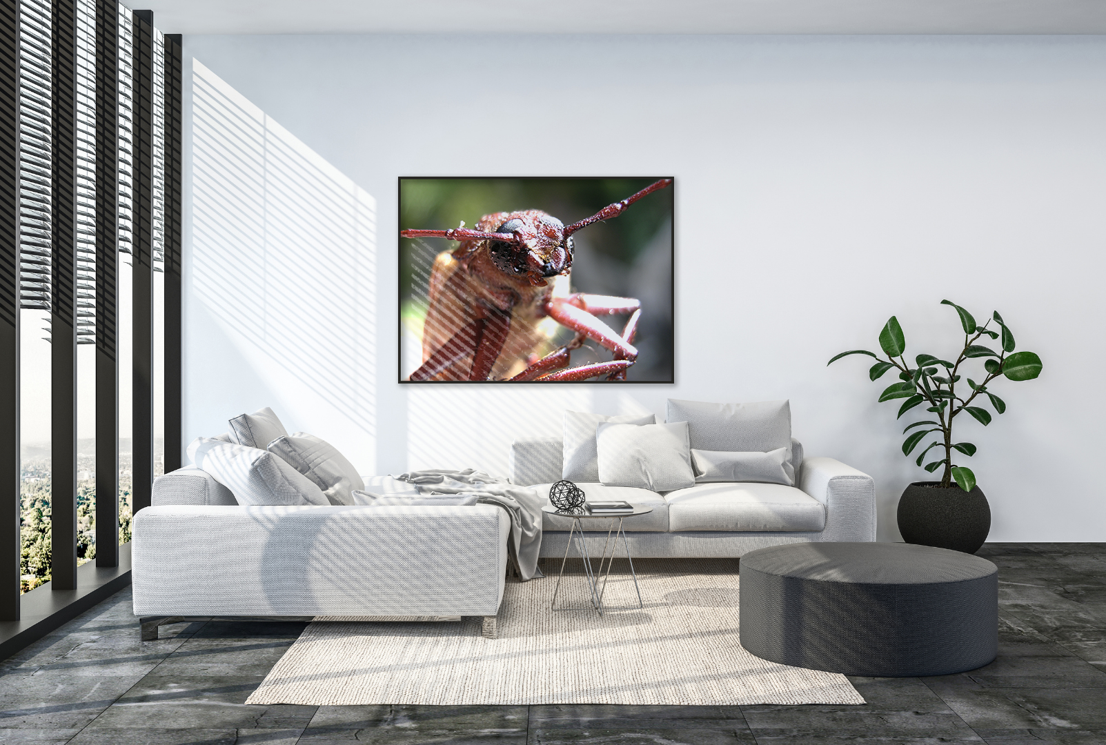 Longhorn Beetle original abstract contextualised office art modern decor photo print by Blair Montague Drake
